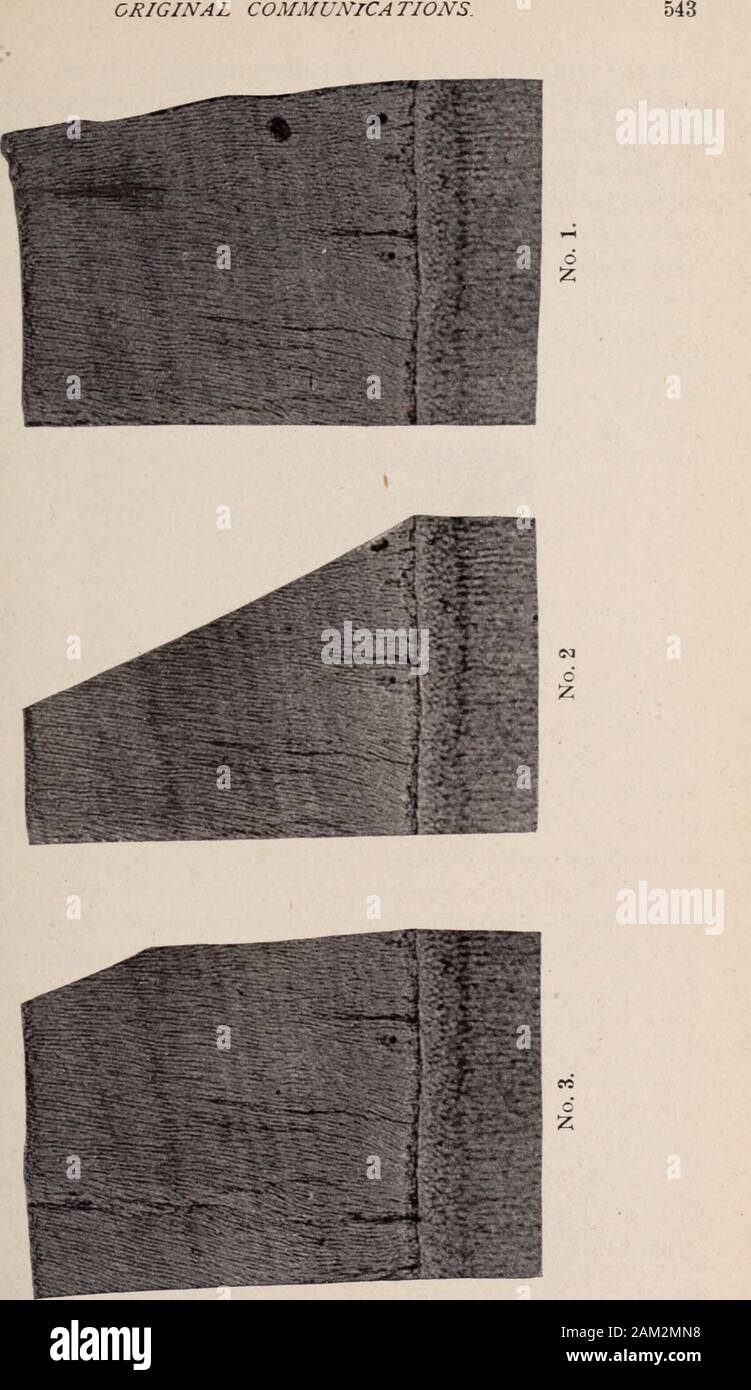 Dental review; devoted to the advancement of dentistry. . to twelve