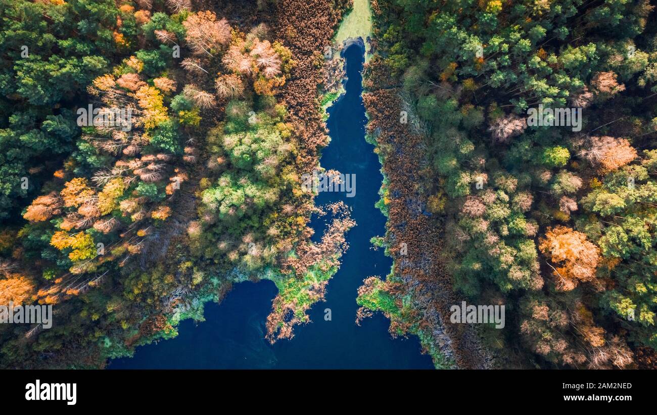 Top down view of lake and forest in autumn Stock Photo - Alamy