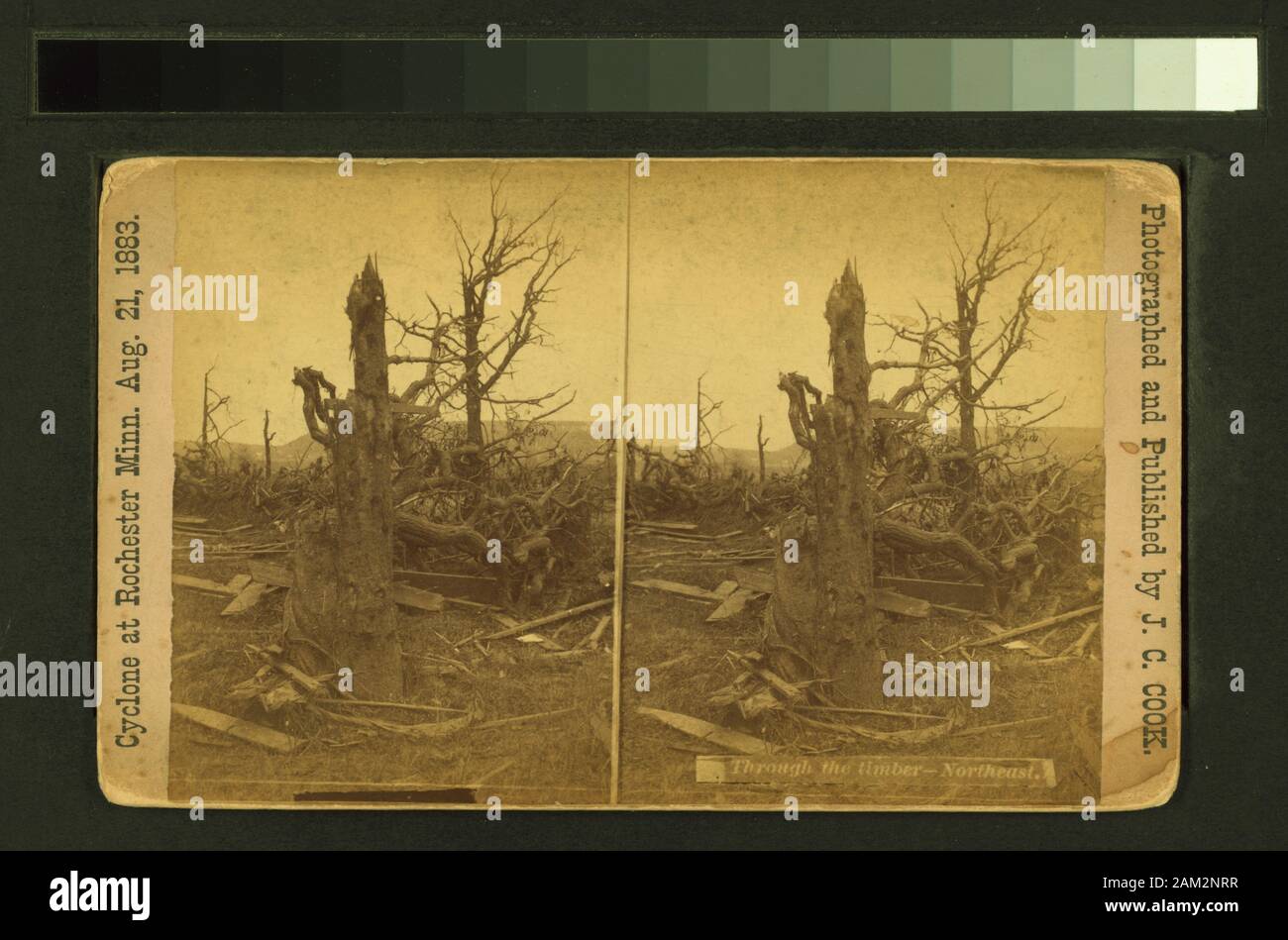 Through the timber northeast Through the timber northeast.; Through