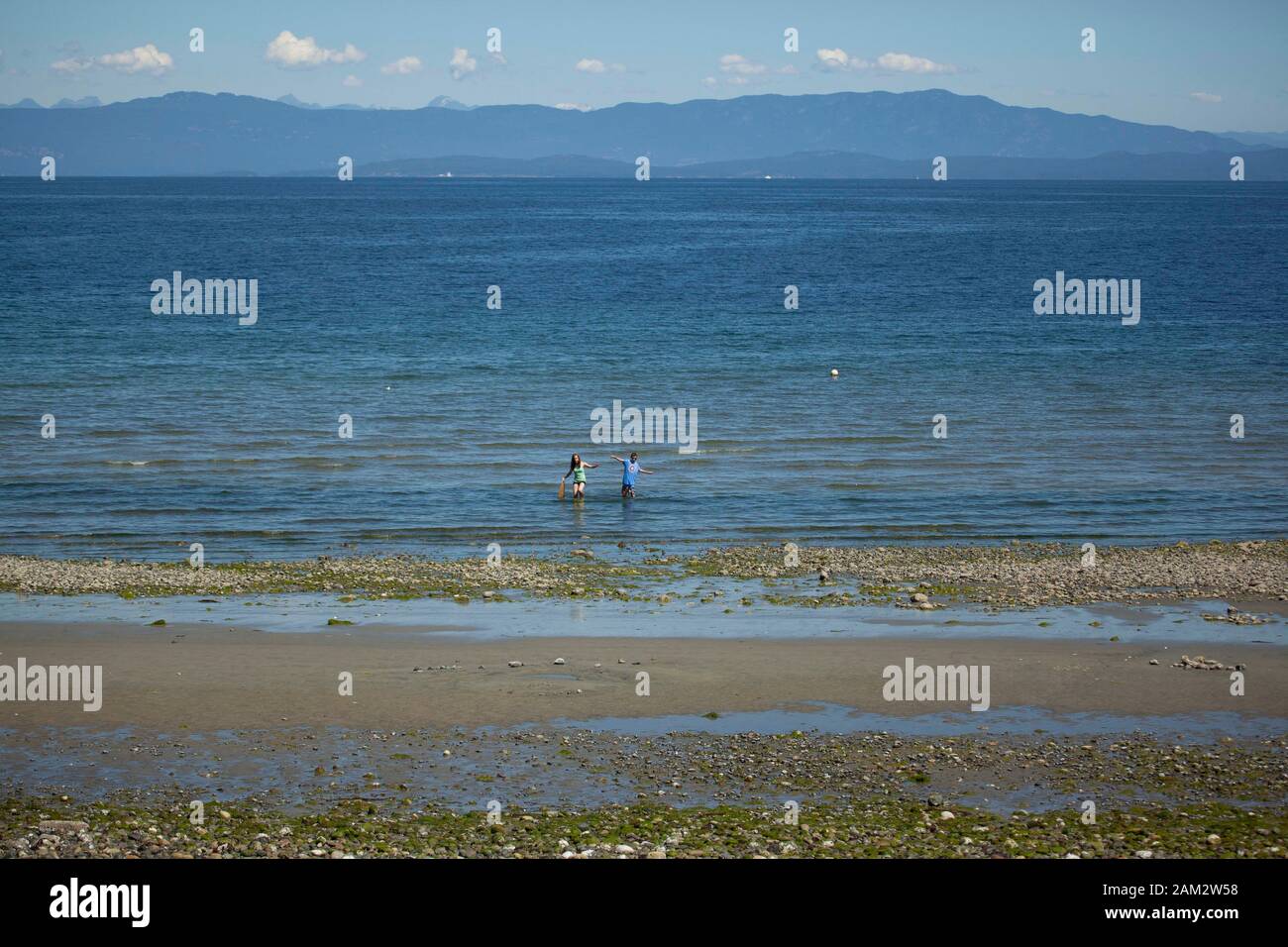 Young woman and boy wading in from sea towards pebbly beach, Vancouver Island, British Columbia, Canada Stock Photo