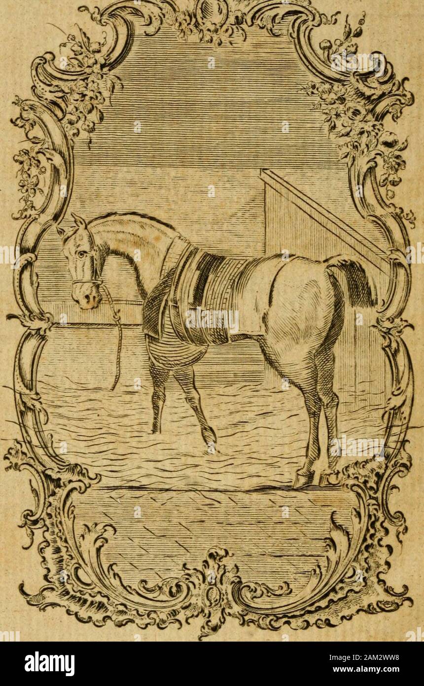The gentleman's farriery : or, a practical treatise on the diseases of horses : wherein the best writers on the subject have been consulted, and MLa Fosse's method of trepanning glandered horses is particularly considered and improved : Also a new method of nicking horses is recommended; with a copper-plate and description of the machine ... . Webster Family Librar of Veterinary Medicine r -liolno of Tie. THE Gentlemans Farriery: O R, A PRACTICAL TREATISE O N T H E Diseases of HORS ES: Wherein the beft Vv^riters on that Subjecthave been confulted, and M. La Fosses Method of Trepanning Glander Stock Photo