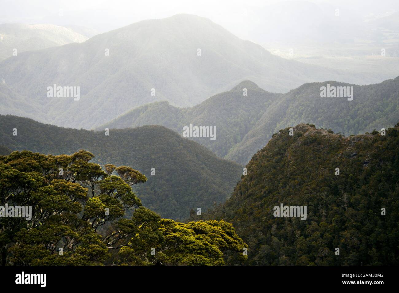 Walking the Old Ghost Road trail, Lyell to Seddonville, New Zealand. Views to the south of Ghost Lake hut Stock Photo