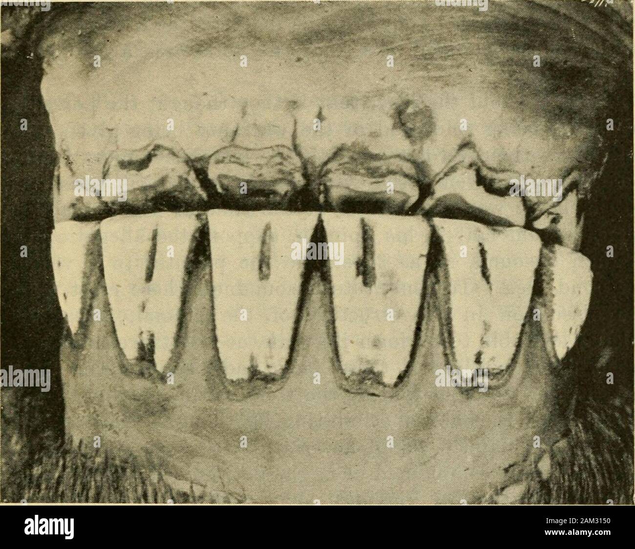 Horse at loose box hires stock photography and images Alamy