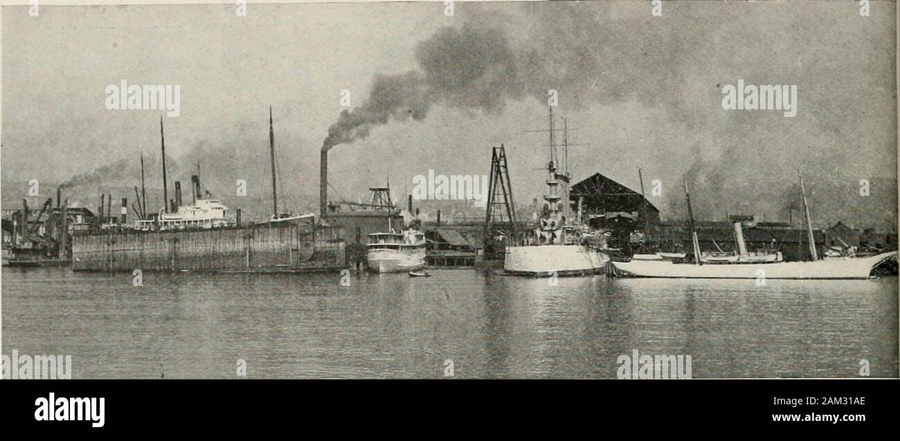Pugel High Resolution Stock Photography And Images Alamy