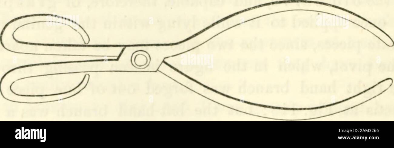 Obstetrics : the science and the art . respects an admirable instrument as to the head-curve, as may be seenby inspecting it in the drawing. The iron of which it was forged is,it is true, rather clumsy, rough and heavy, but scarcely more to becondemned, on that account, than the heavy Berlin forceps of Profes-sor Siebold. It had no pivot-joint, but the two compartments werefastened together by a strong flat braid, like that represented in thefigure, which, being passed through holes drilled in the lock of the in-strument and afterwards wrapped round the handles, would serve, afterthe adjustmen Stock Photo