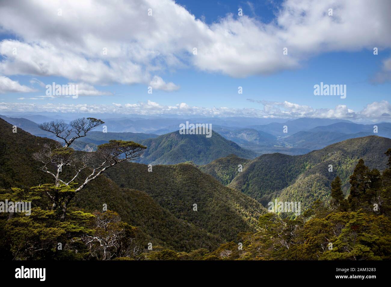 Walking the Old Ghost Road trail, Lyell to Seddonville, New Zealand