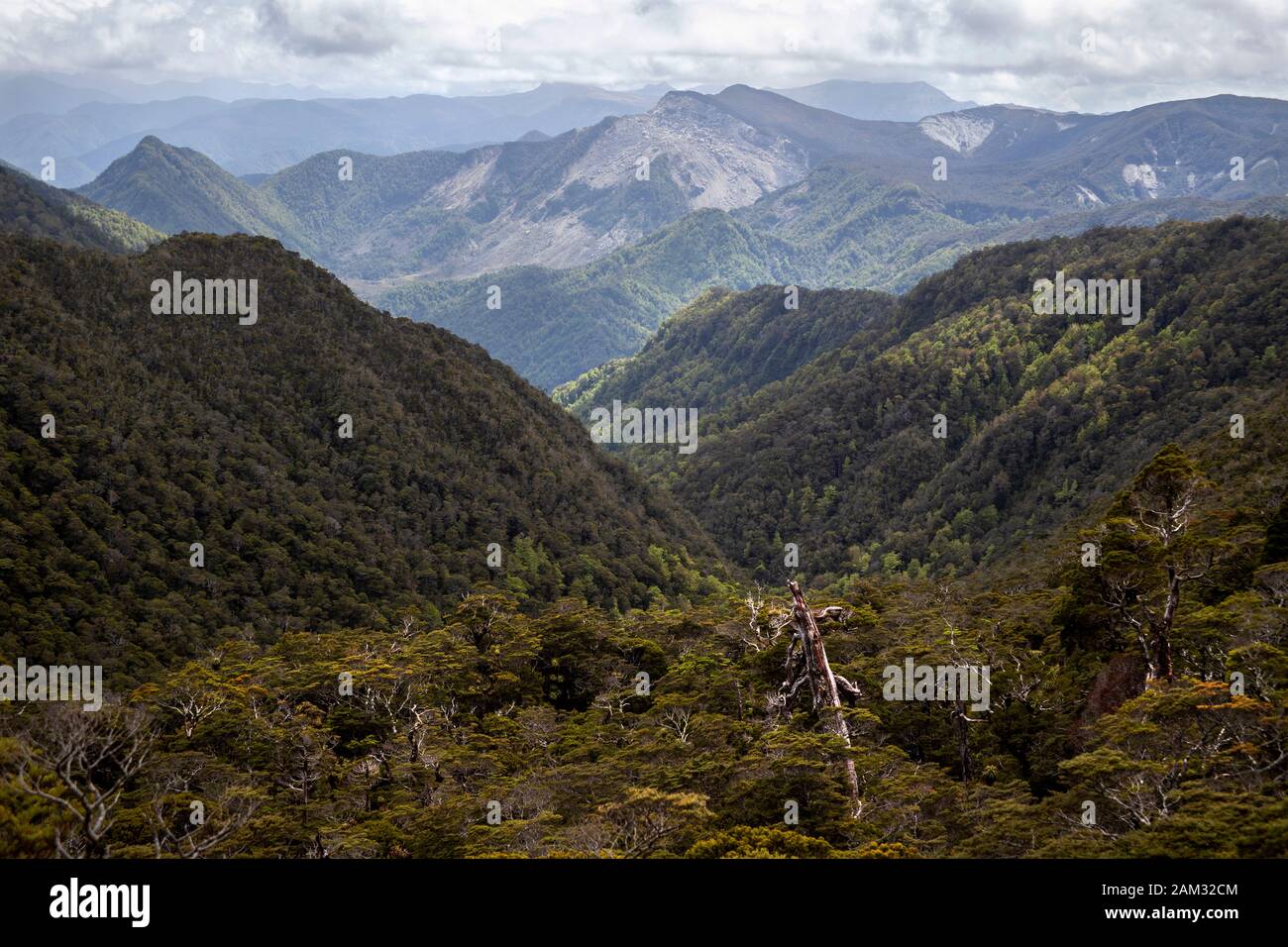 Walking the Old Ghost Road trail, Lyell to Seddonville, New Zealand