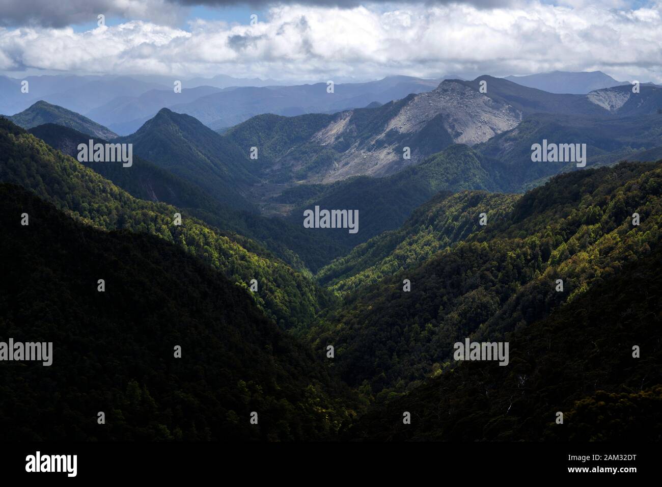 Walking the Old Ghost Road trail, Lyell to Seddonville, New Zealand