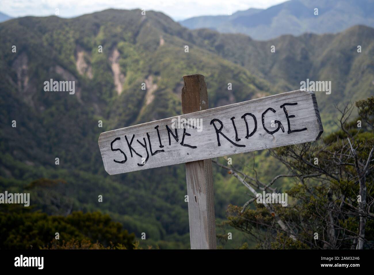 Walking the Old Ghost Road trail, Lyell to Seddonville, New Zealand. On