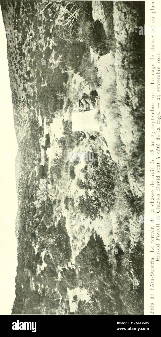 Etudes De Lepidopterologie Comparee I I O U Fc R E Lt V Ai 0 S O P T3 A O O Stock Photo Alamy