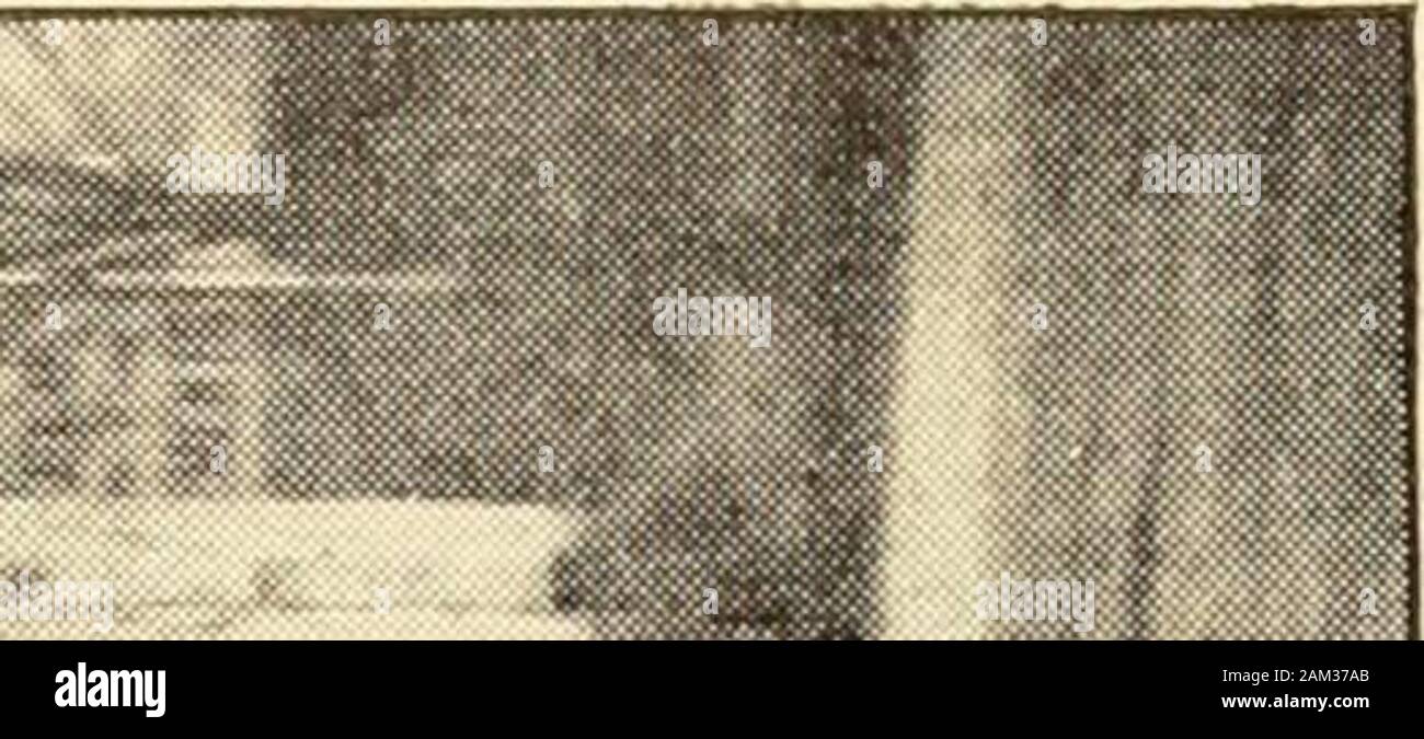 Rifle Hook High Resolution Stock Photography and Images Alamy