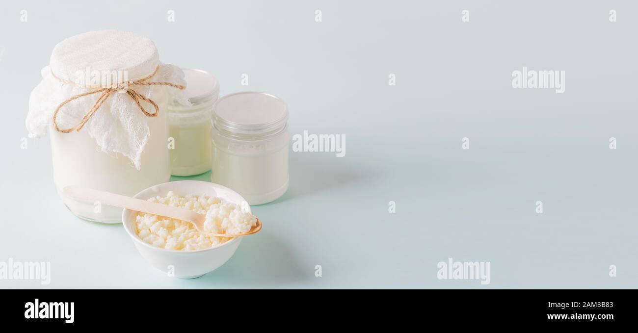Milk Mushroom Cottage Cheese Organic Probiotic Fermented Milk