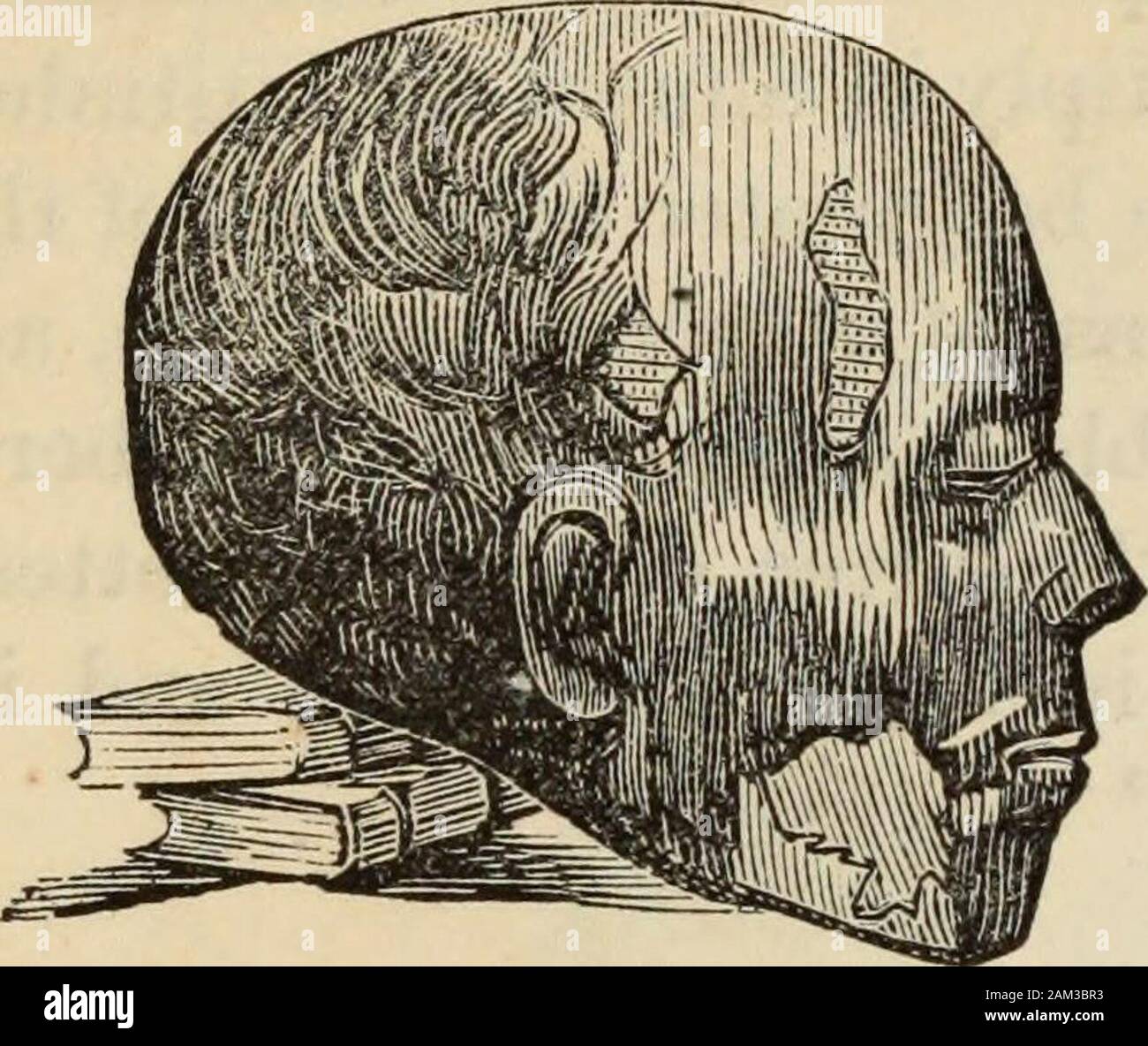 New Physiognomy : or signs of character, as manifested through ...