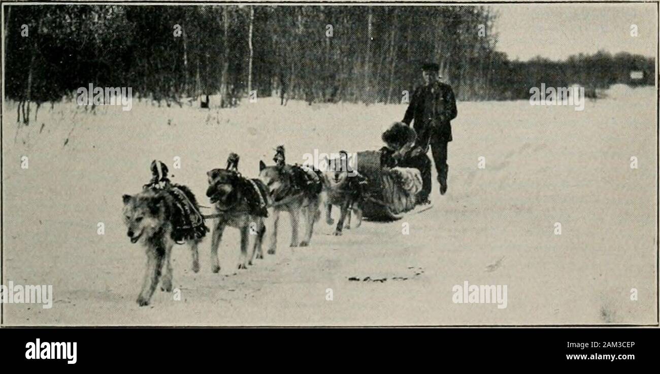 The land of open doors; being letters from western CanadaWith foreword by Earl Grey . HOMESTEADERS STARTING FROM EDSON FOR THE PEACE RIVER (Three hundred mile trip). DOG TRAIN COMING INTO TOWN Railway Construction Camps There is something rather romantic in watch-ing a Peace River outfit pull out from Edson onits long fifteen or sixteen days journey. Thehomesteader has three to four hundred miles infront of him, and there are few stopping-places.Indeed, were there such places of shelter all alongthe trail, it is doubtful whether the homesteaderspurse would allow him to make use of them.He has Stock Photo