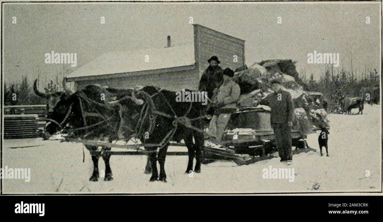 The land of open doors; being letters from western CanadaWith foreword by Earl Grey . GRANDE PRAIRIE SETTLERS LEAVING EDSON. HOMESTEADERS STARTING FROM EDSON FOR THE PEACE RIVER (Three hundred mile trip) Stock Photo