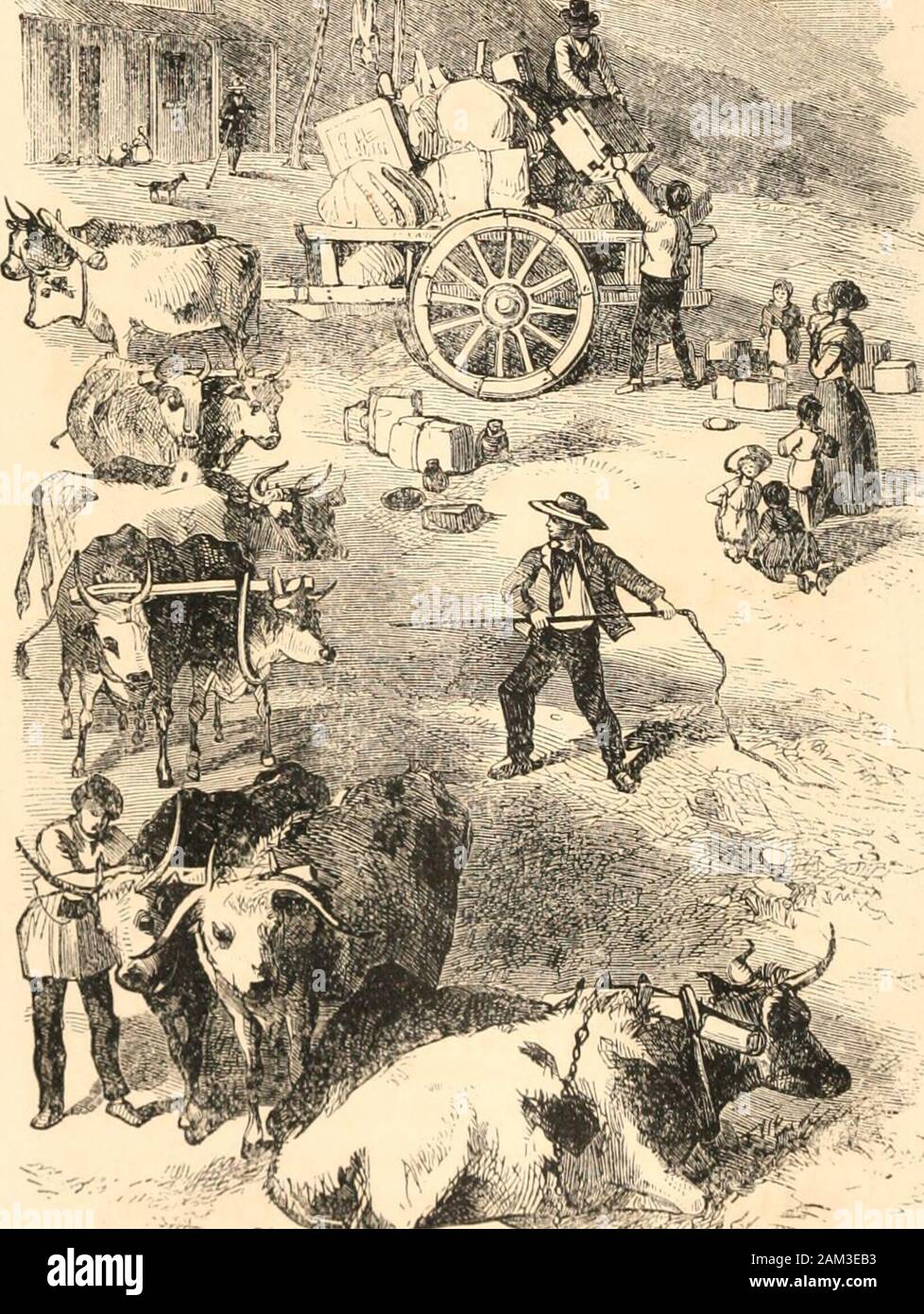 The Australian Crusoes Or The Adventures Of An English Settler And His Family In The Wilds Of Australia T Gt I Gt I Rktukn 01 The Wagon Il Om Town Thb Australian