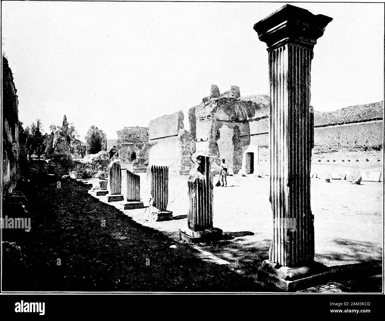 Queen of bithynia hires stock photography and images Alamy