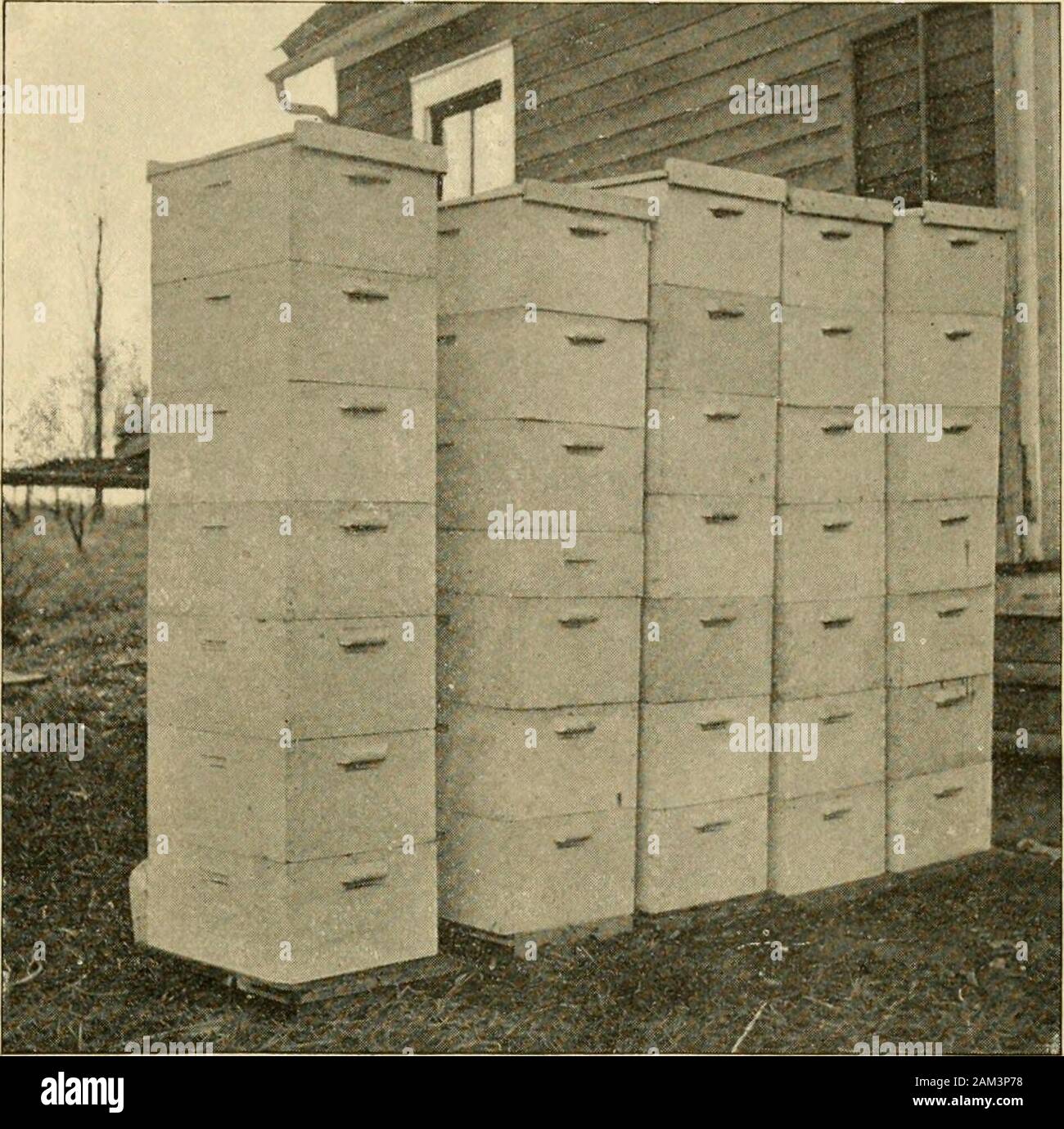 Gleanings in bee culture . d in tarred paper, with chaff cush-ions in upper story, and the entrance con- 1907 GLEANINGS IN BEE CULTURE. 905 traded to 1X3 inches.The Missouri ValleyCollege Buildings areseen in the l)ackground. Fig. shows my honeycrop for 1900 (net weightof 1300 lbs.), outside ]uyhouse, tiered up securefrom robbers. It is agreat advantage to havenice-fitting supers. Fig. 8 is a corner inmy supply - house, de-signed to cause bee-keepers to become moreinterested in producinga better quality of hon-ey as well as to work onthe appetite of the hon-ey-consumers. Fig. 4 is my extract-i Stock Photo