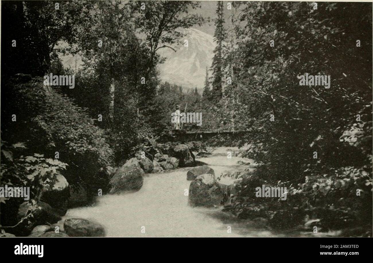 the hunting ground stream the hunting ground stream