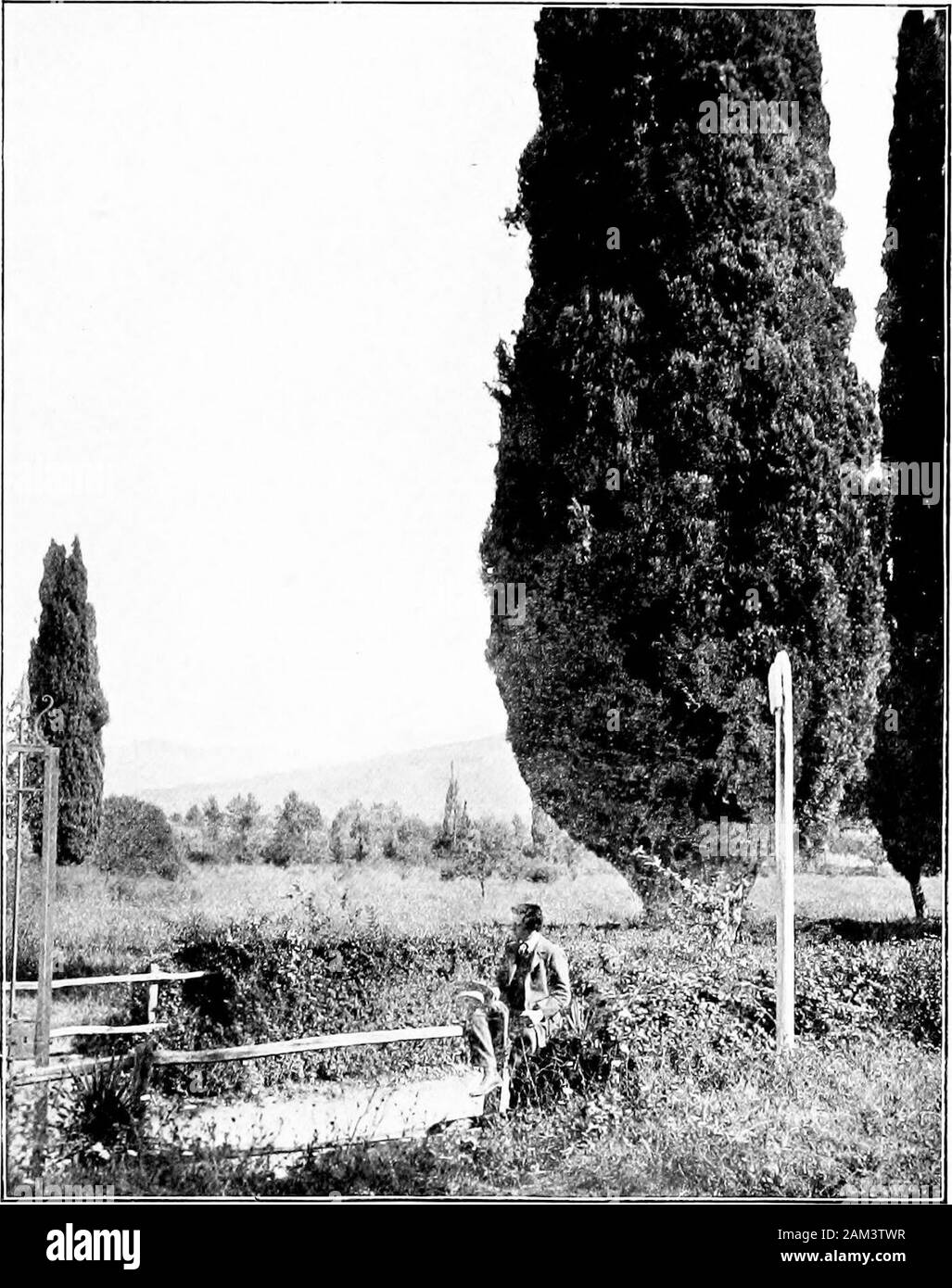 Wanderings in the Roman campagna . )hreum, and the Pales-. ONE Oi THE GIANT CYPRESSES PLANTED BY COUNT GIUSEPPEFEDE IN THE FIRST HALF OF THE EIGHTEENTH CENTURY THE LAND OF HADRIAN 145 tra, bringing to light many famous marbles such as thetwo female hermse (n. 537 and 538 in the Rotunda ofthe Vatican Museum) which are supposed to personifyTragedy and Comedy; a group of Cupid and Psyche,and the Satyr in rosso antico, with eyes of coloredglass, now in the Gabinetto delle maschere, n. 43^2.But the best title of the Fede family to the gratitude ofall friends of Hadrians villa lies in their having p Stock Photo