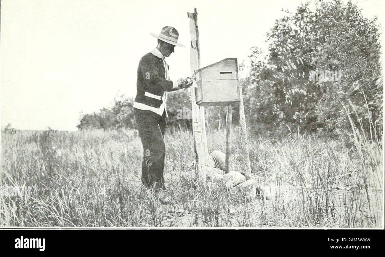 Sessional papers of the Dominion of Canada 1914 . Voung Porest in .thaba.ska Valley ((irande Prairie Koad). Fholo J. A. Doucet.. Post-box Used by Forest Rangers on Nelson River. Photo A. Ivnechtel. Stock Photo
