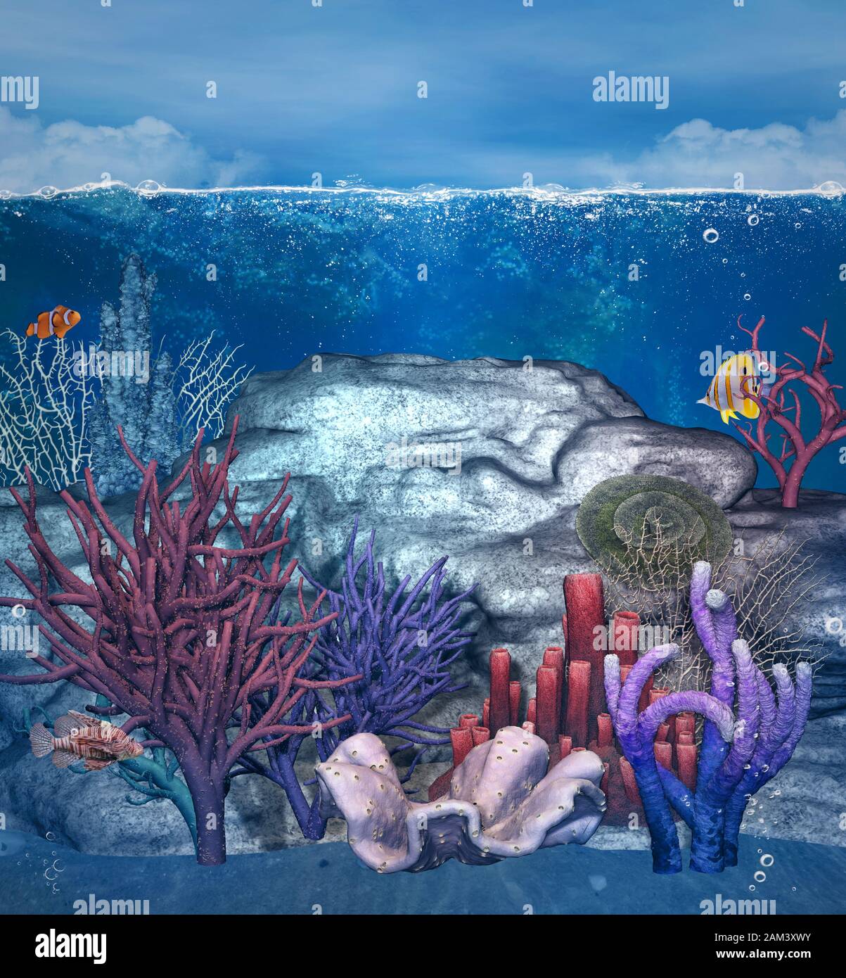 underwater ecosystem