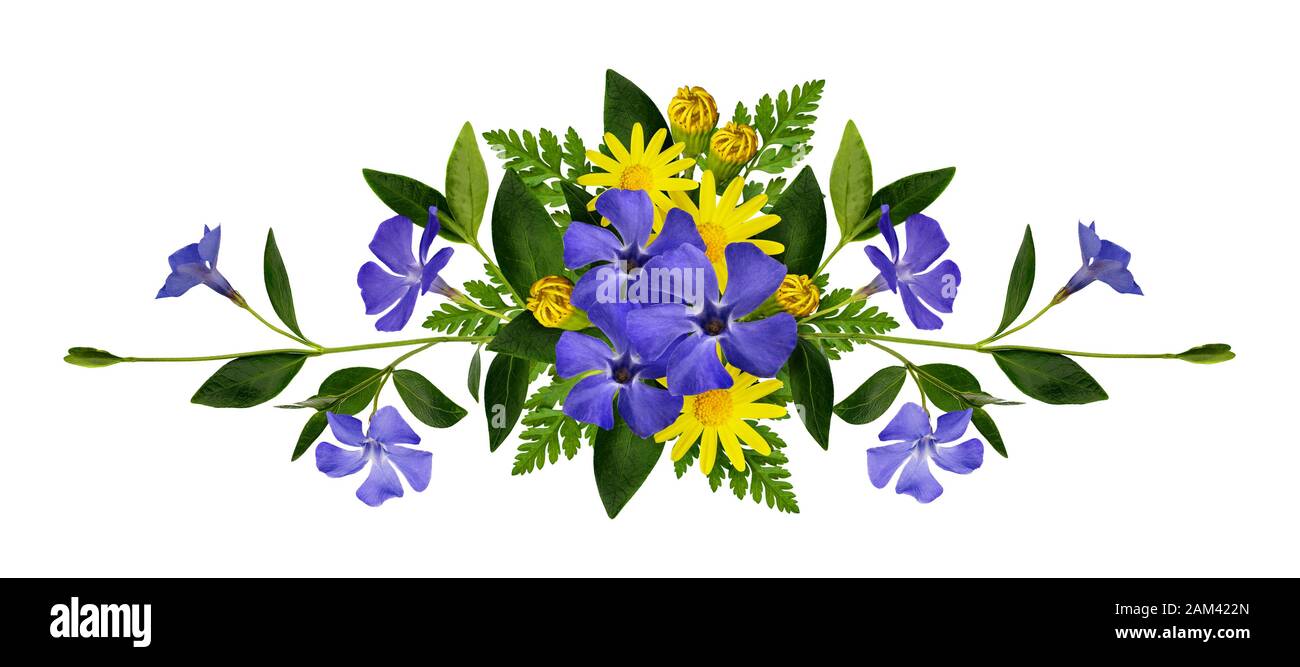 Periwinkle and daisy flowers composition isolated on white Stock Photo