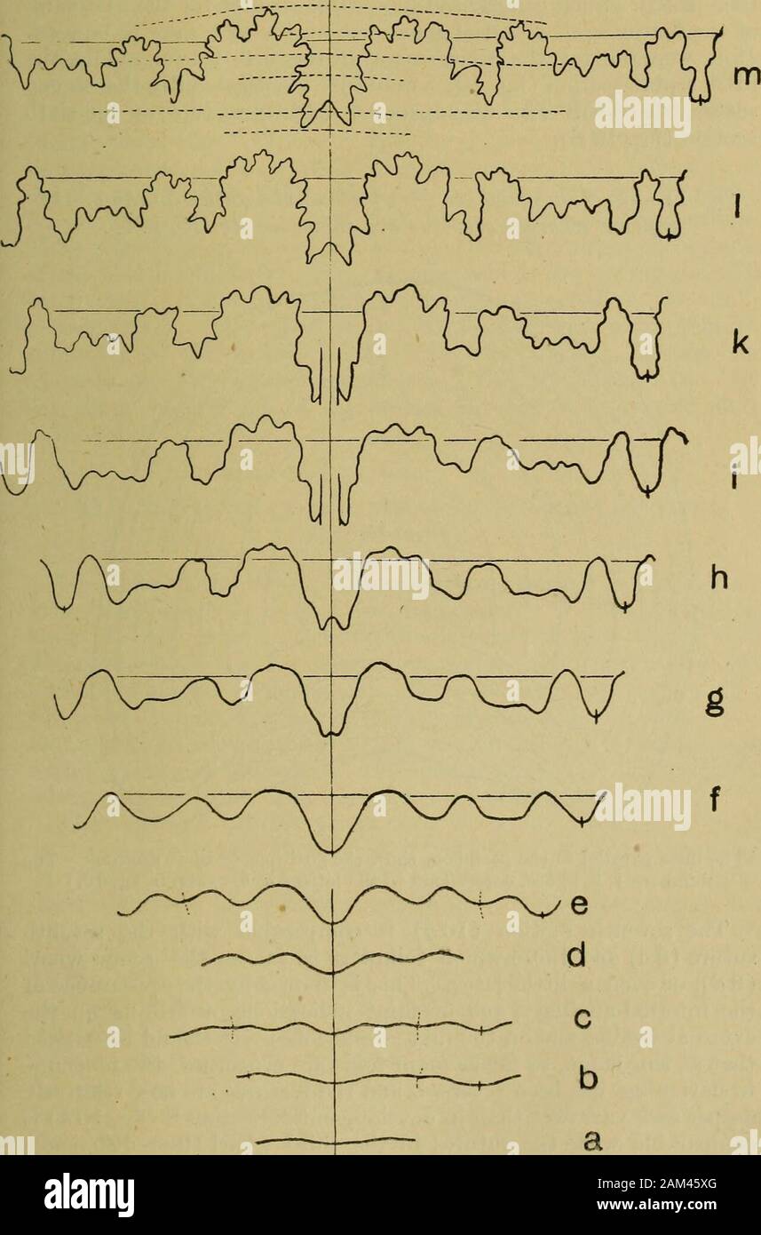 The Quarterly Journal Of The Geological Society Of London A First Suture X 28 H Second Suture X 28 C Seventh Suture X 28 D Sutm E At 1 Whorls X 28 J