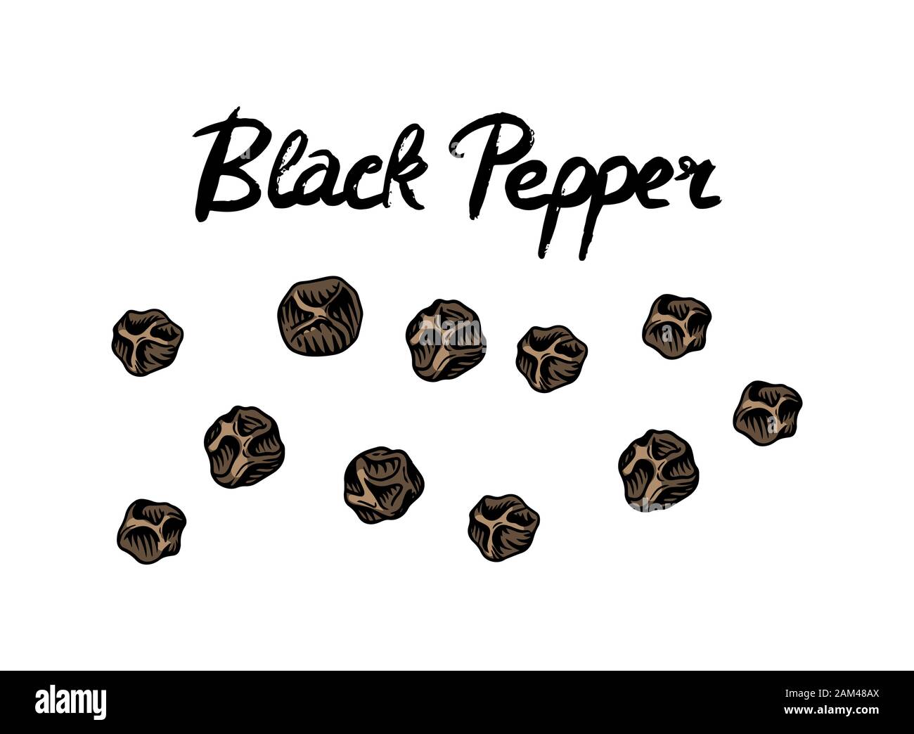 Calligraphic lettering Black pepper in Vintage style. Dried seeds, a