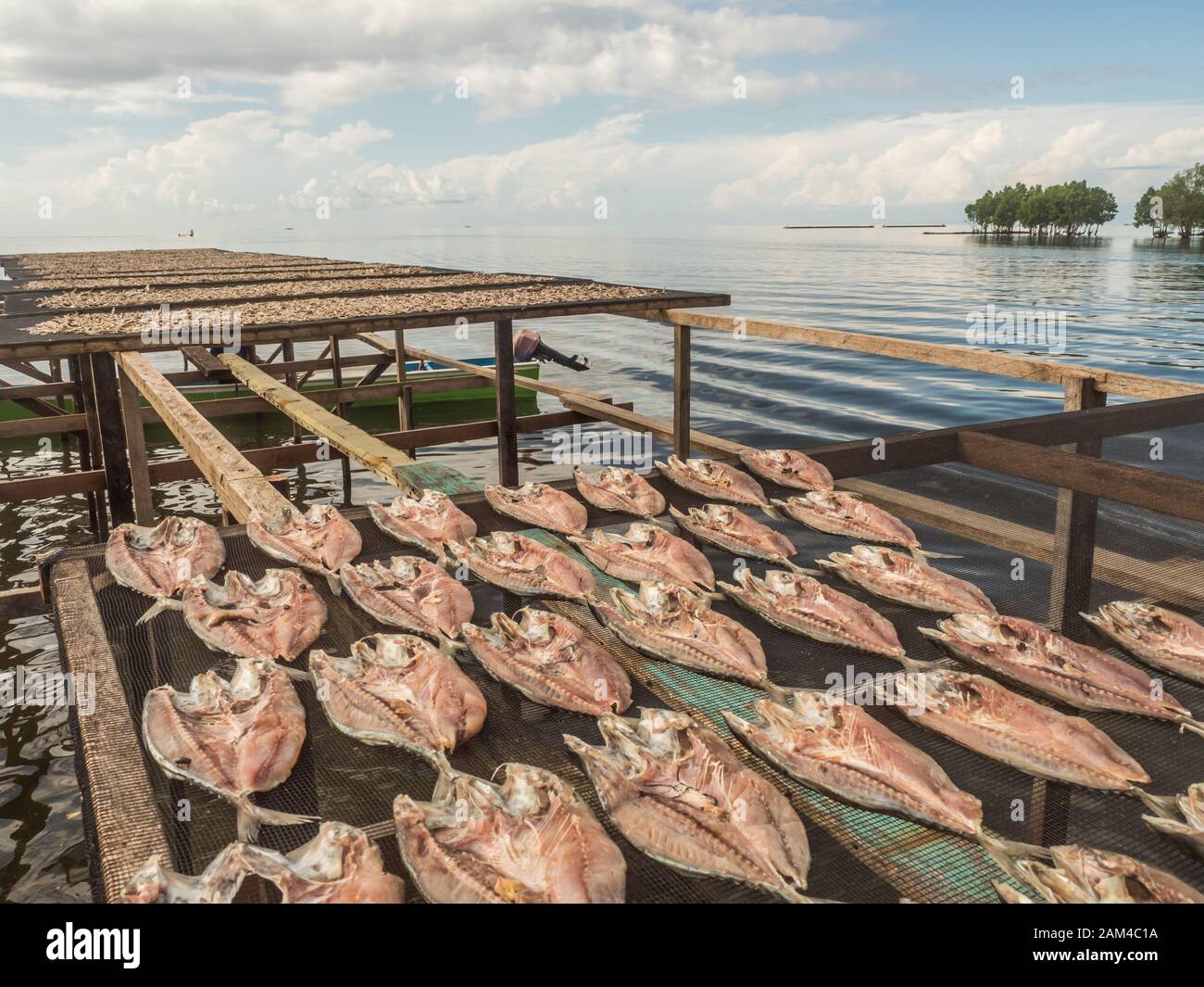 The Fish Dries On Specially Prepared Nets At The Seram Sea In Kaimana Fishing Aktivitas Menjemur Ikan Kaimana Bird S Head Peninsula West Papua Stock Photo Alamy