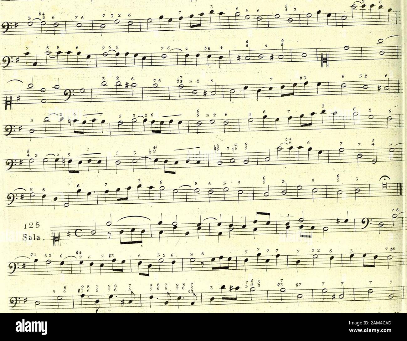 Primizie di canto fermo . 4 3 ip==ijP* ÉÉsiPSS. 163 L.l .M. Stock Photo