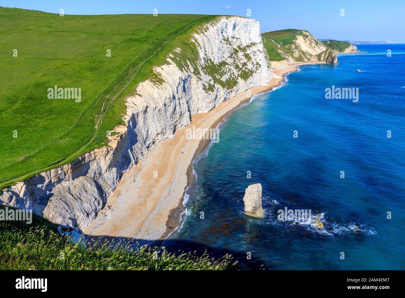 The Real Jurassic Park: Geology field course along the south coast of  England (TESC 417)