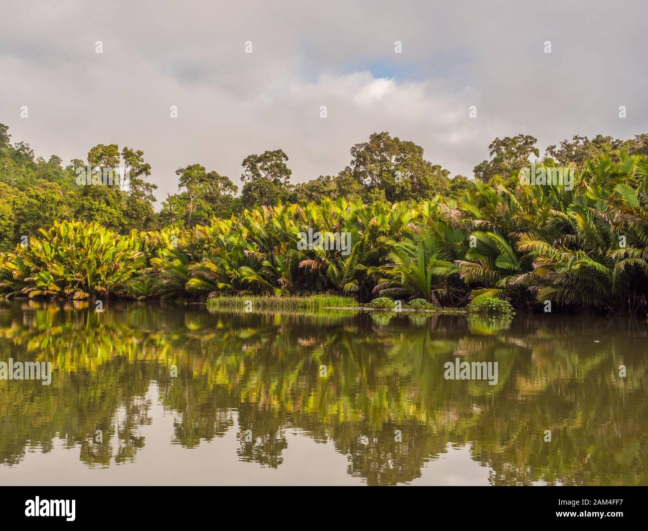 Arguni, Bird's Head Peninsula, West Papua, Indonesia, Asia Stock Photo