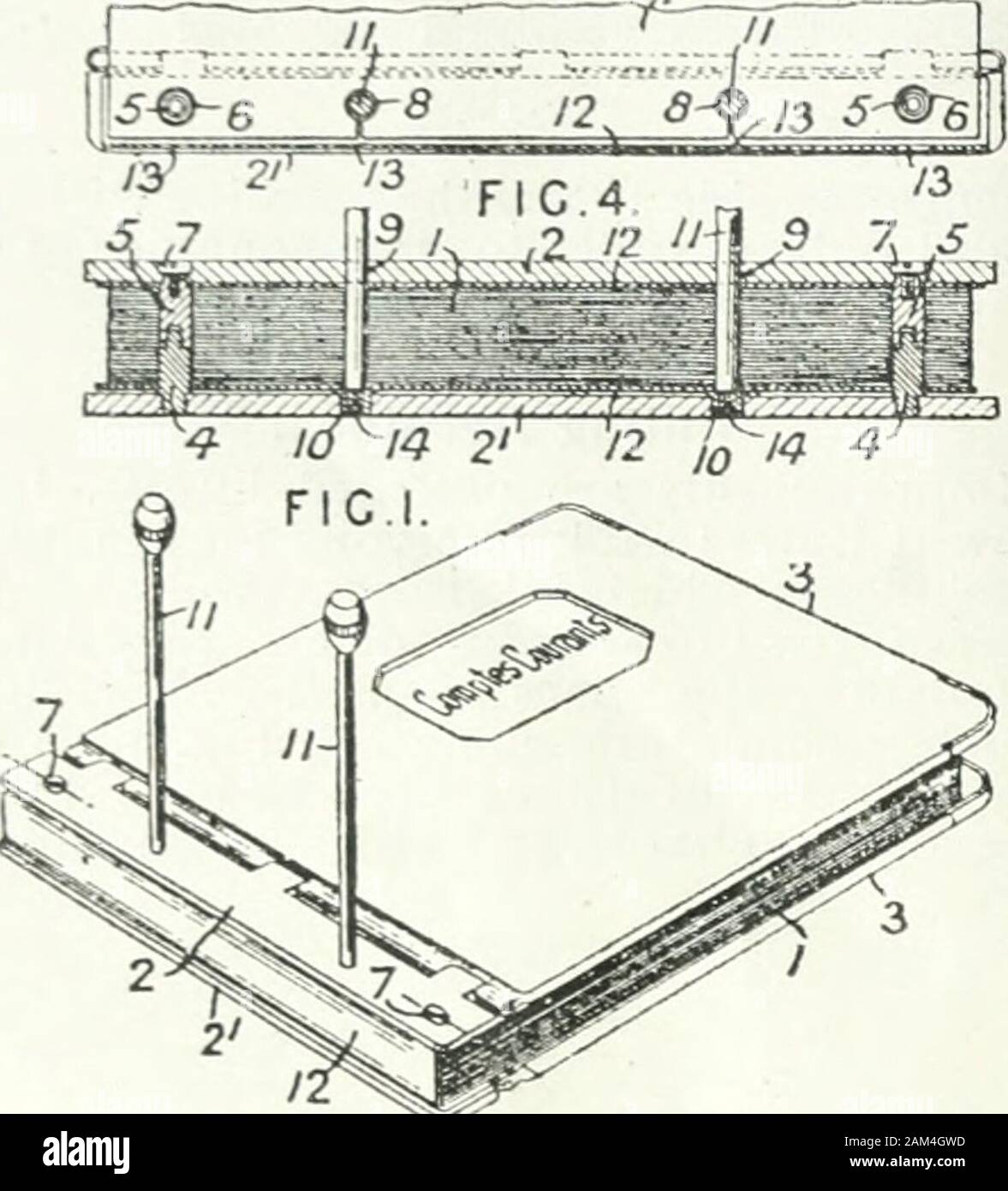 Slotted leaves hires stock photography and images Alamy