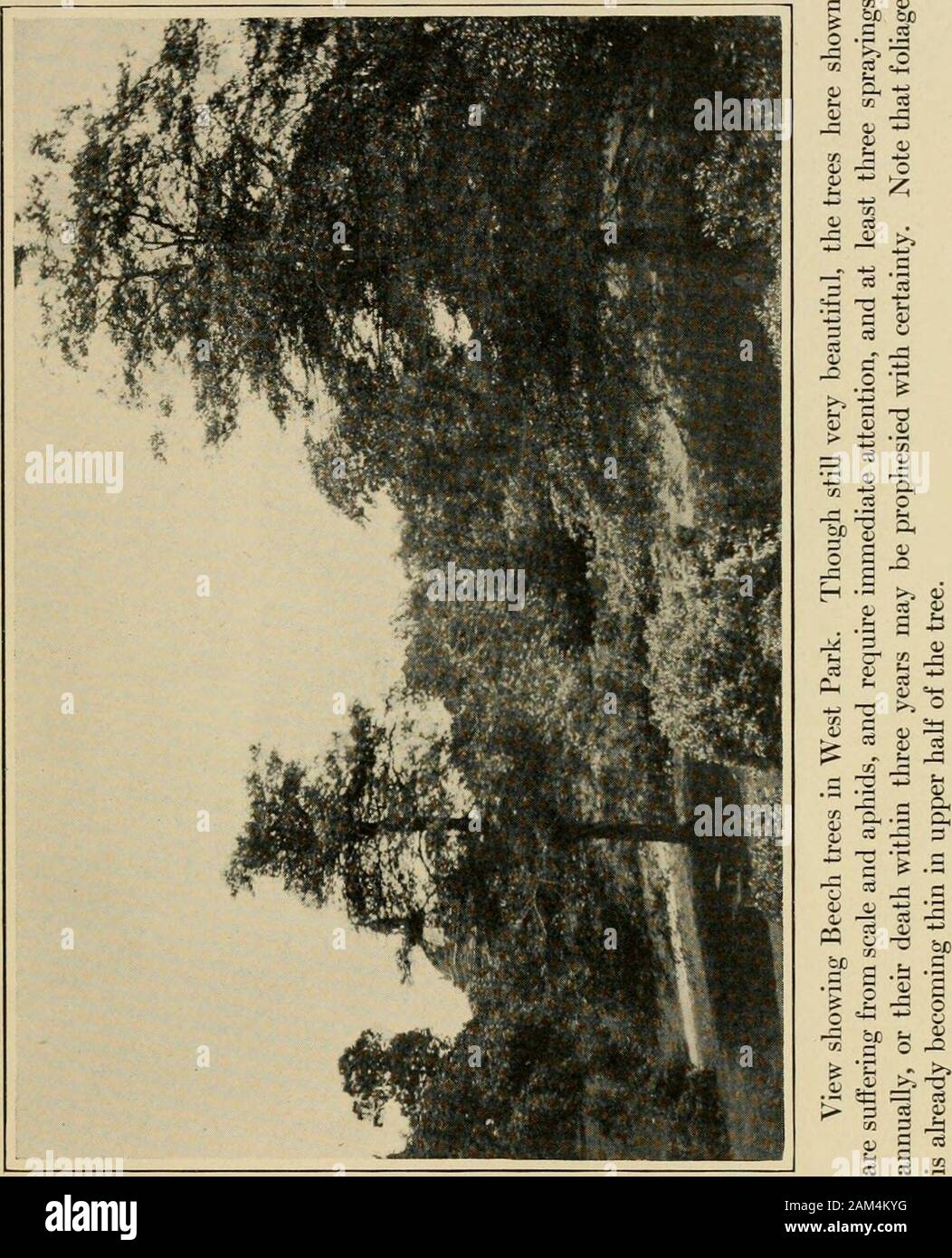 New tar gardens hires stock photography and images Alamy