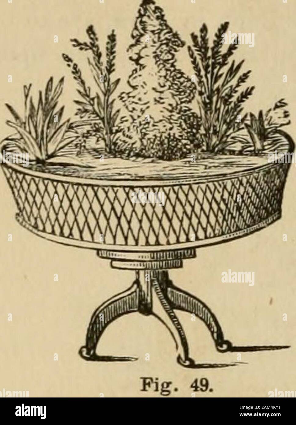 Window gardening : devoted specially to the culture of flowers and ornamental plants for indoor use and parlor decoration . ig. 48. Figs. 50 and 51 are simple stands to be used for the same purpose, or can beadapted to the keeping of cut flowers. The top of No. 51, is covered with asmall movable brass wire grating, the meshes being half an inch square, to sup-port the flowers, and keep them in an upright position. Pig. 50 is more convenient for preserving small plants, just in bloom, packedin with moss. This is, also, covered with wire work of brass. Pig. 52 is a plant table, made of any style Stock Photo