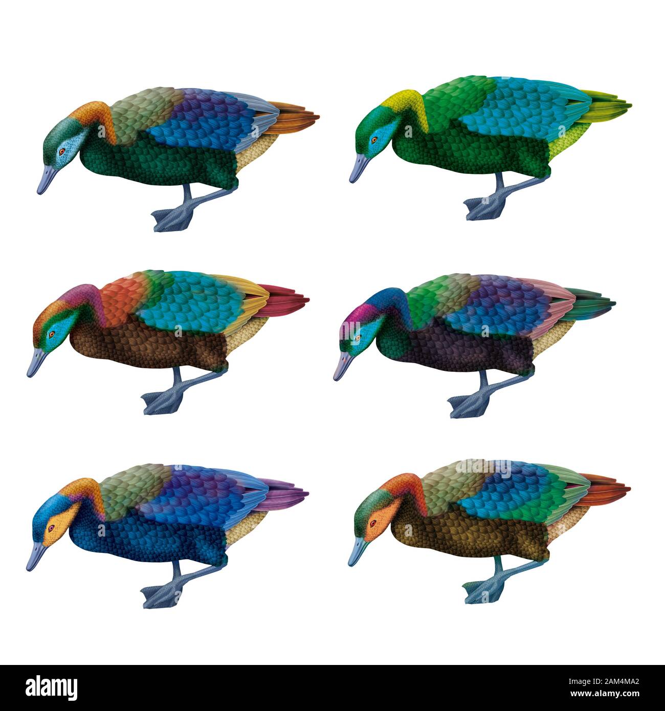 Goose realistic illustration Stock Photo Alamy