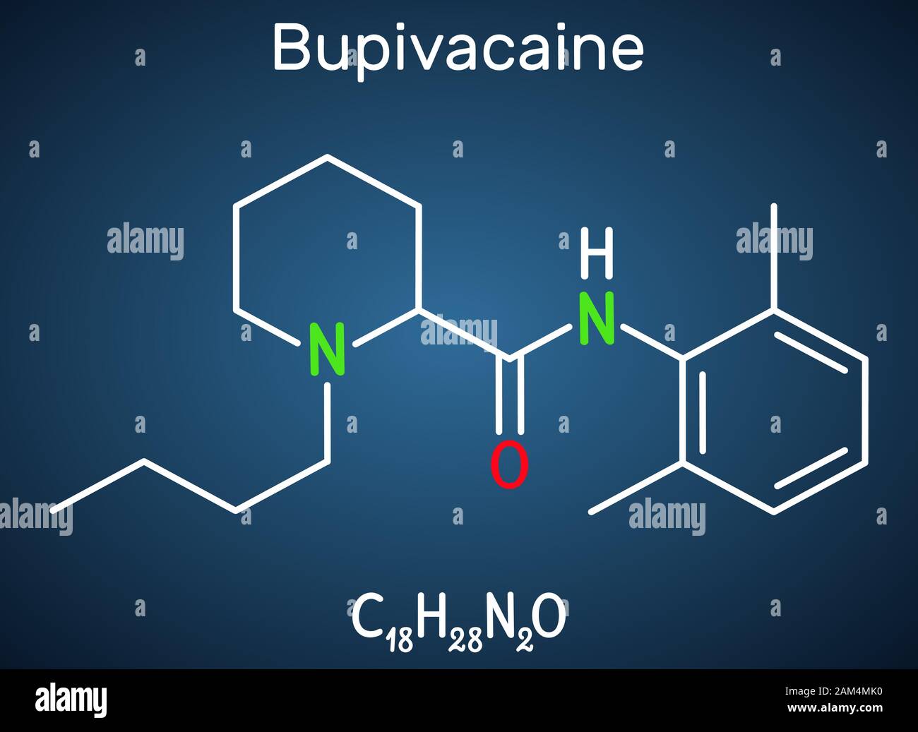 Bupivacaine molecule, is an amidetype, longacting local anesthetic