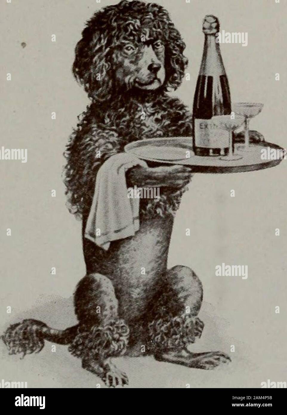 Hobart Office Building High Resolution Stock Photography And Images Alamy