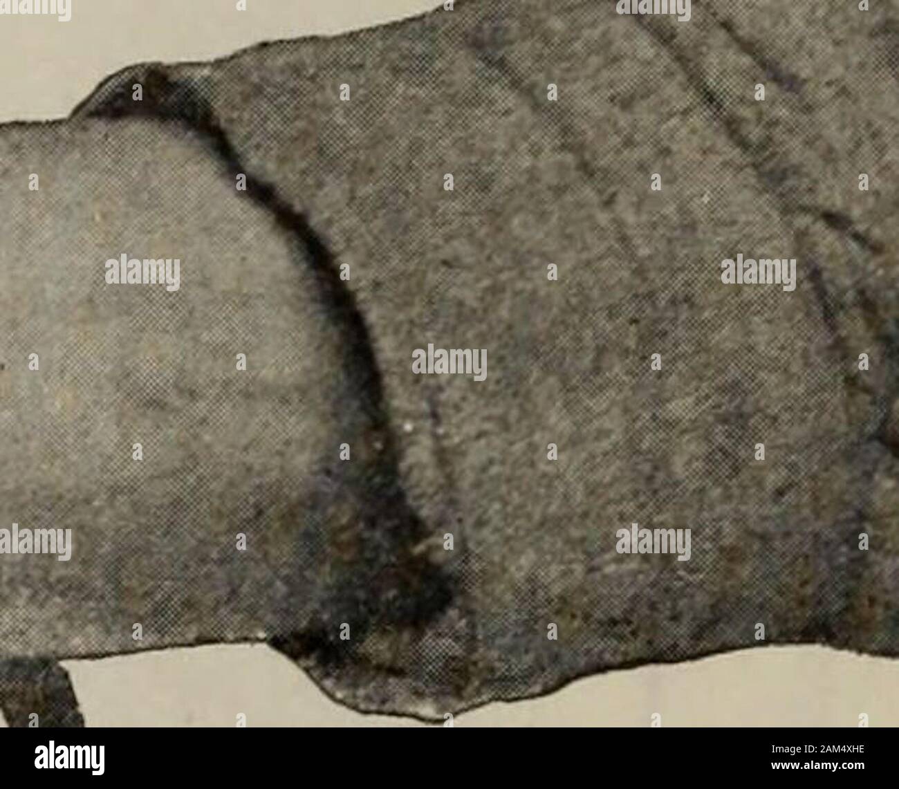 Canadian transportation & distribution management Stock Photo Alamy