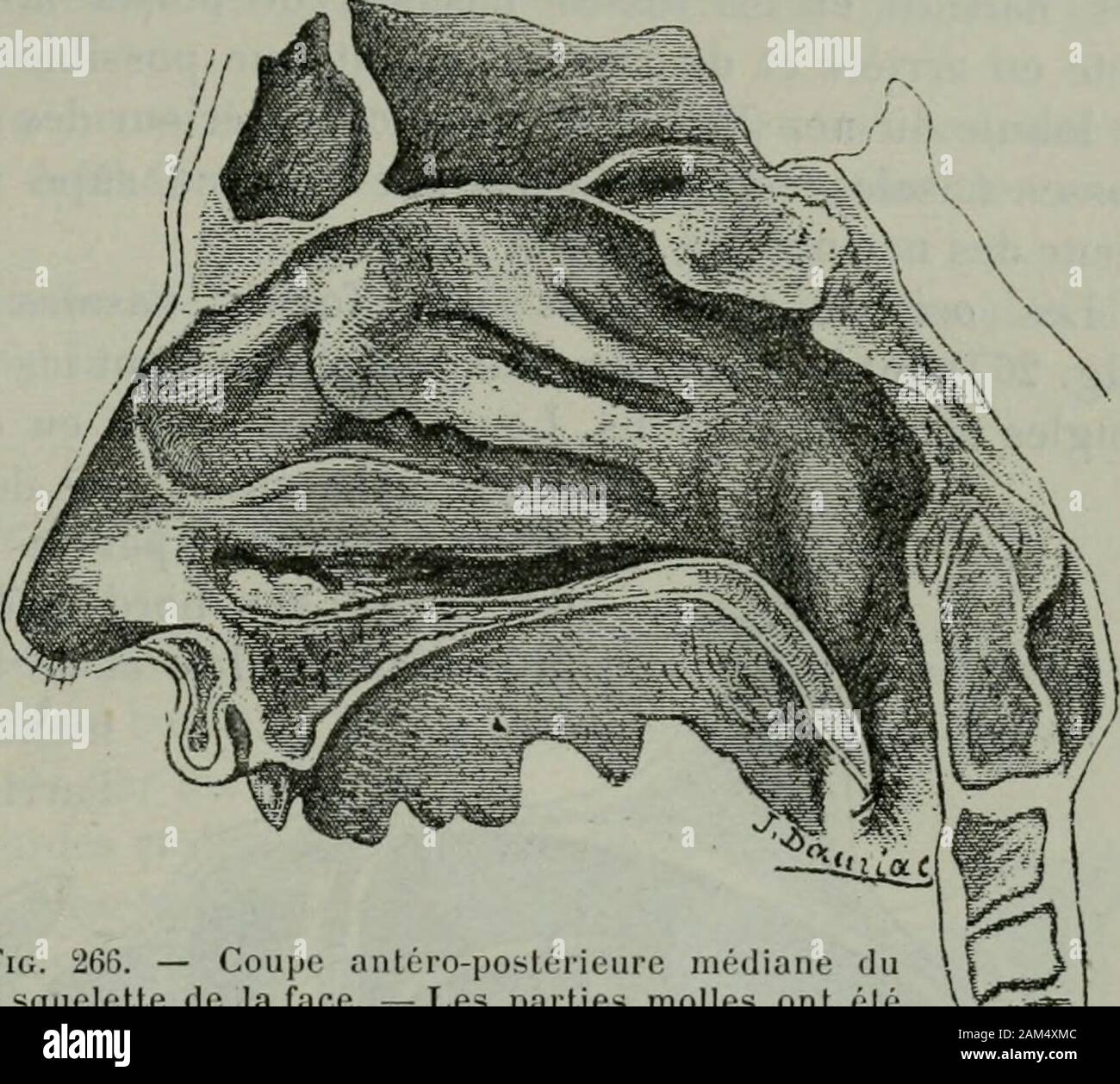 inferieur hires stock photography and images Alamy