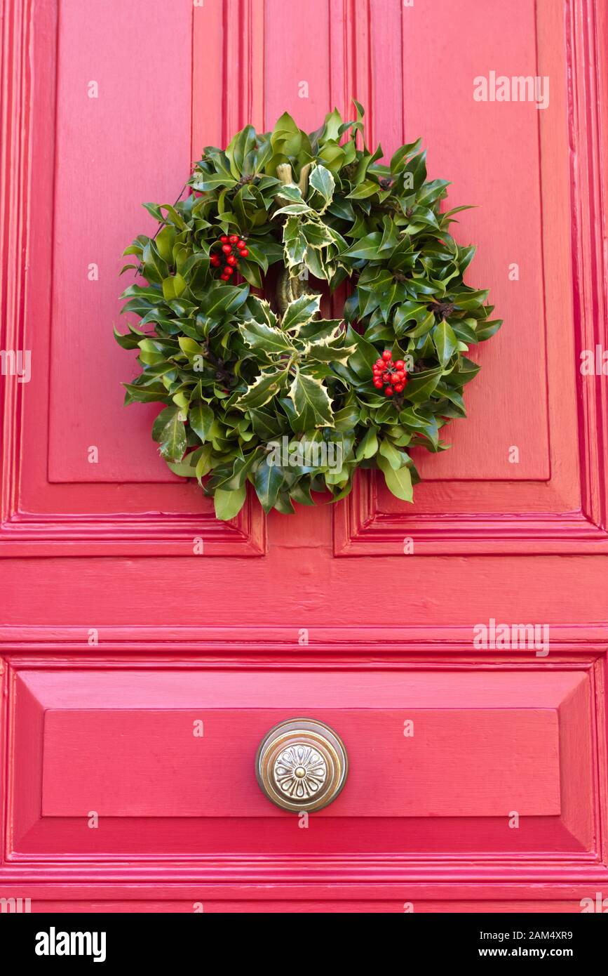 Holly and ivy, red berry wreath on a red front Stock Photo