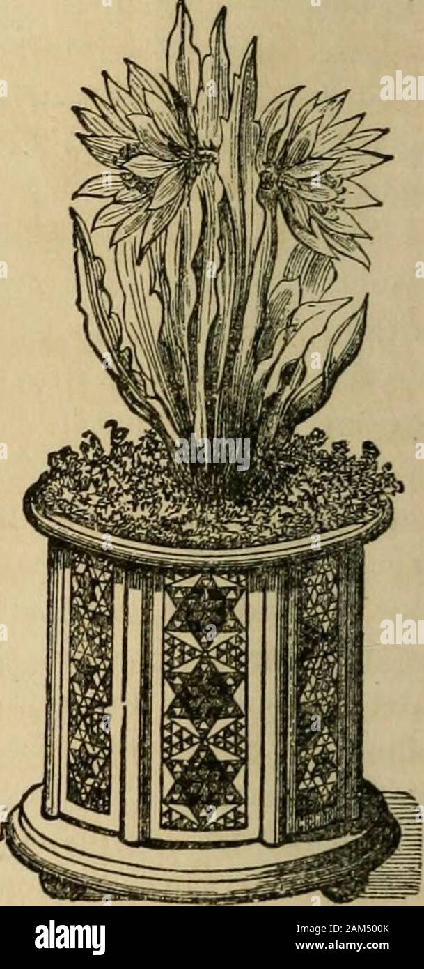 Featured image of post Decorative Pot Design Flower Pot Drawing - Pansy flowers in a pot.