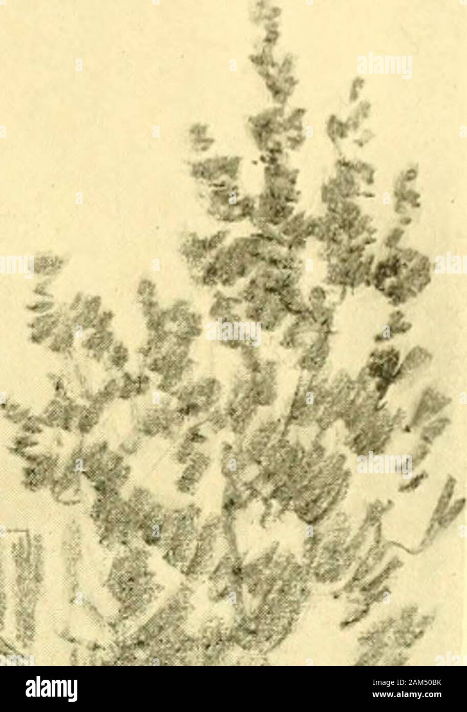 My little sister motherless Our Philadelphia . by his motherless children, solved theproblem the  existence of my Sister and myself was to himby putting us where he knew we  were safe and well out ofhis way.