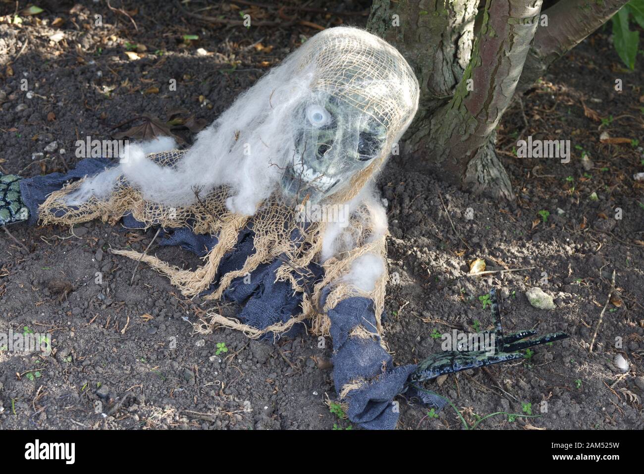 Pirate zombie coming out of a grave Stock Photo