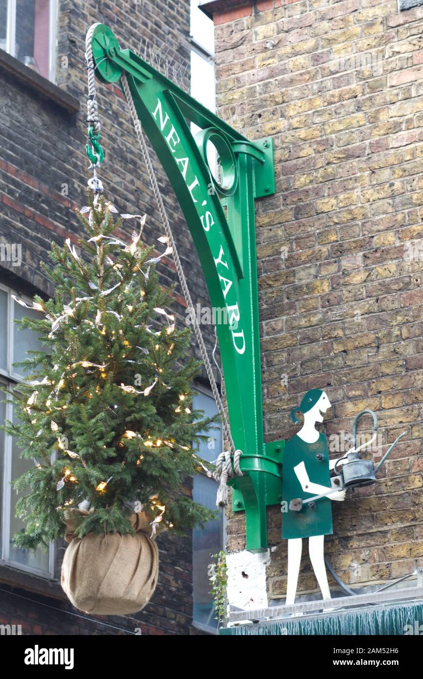 Neal's yard pulley system with a Christmas tree hanging from it Stock Photo