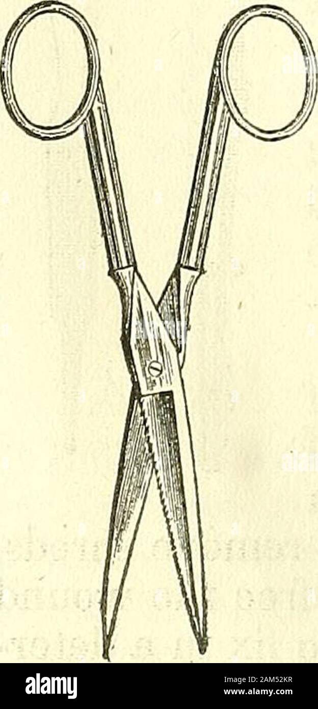 New elements of operative surgery . (Fig. 9.). INSTRUMENTS REaUIRED FOR DRESSING. 93 need of. It is to these, also, we have recourse for the section ofthe tissues that are not to be divided v^^ith the bistoury. We use the scissors that are curved on the flat of their blades, toremove excrescent groM^ths that we wish to excise at the surfaceof the skin, or at the bottom of some cavity. They may also proveof use for making holes in certain compresses, and for giving aparticular form to certain wounds. As to the scissors that are curved on their edges, they are nowscarcely ever used. Formerly the Stock Photo