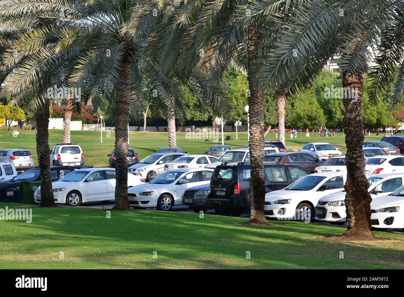 Doha, Qatar - Nov 21. 2019. Dallah Parking in park on Corniche street. West Bay Stock Photo