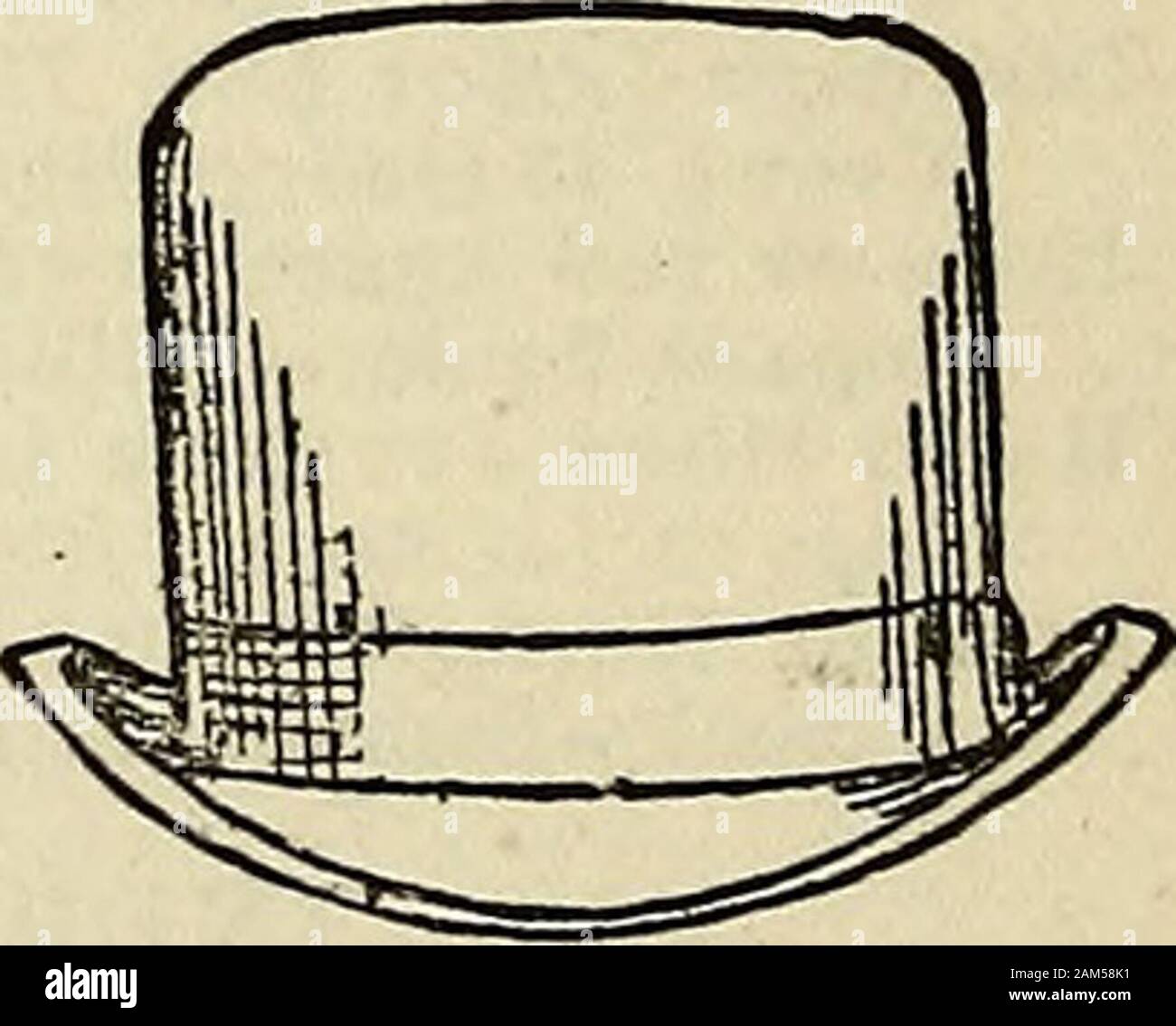 cricket dress lowest price