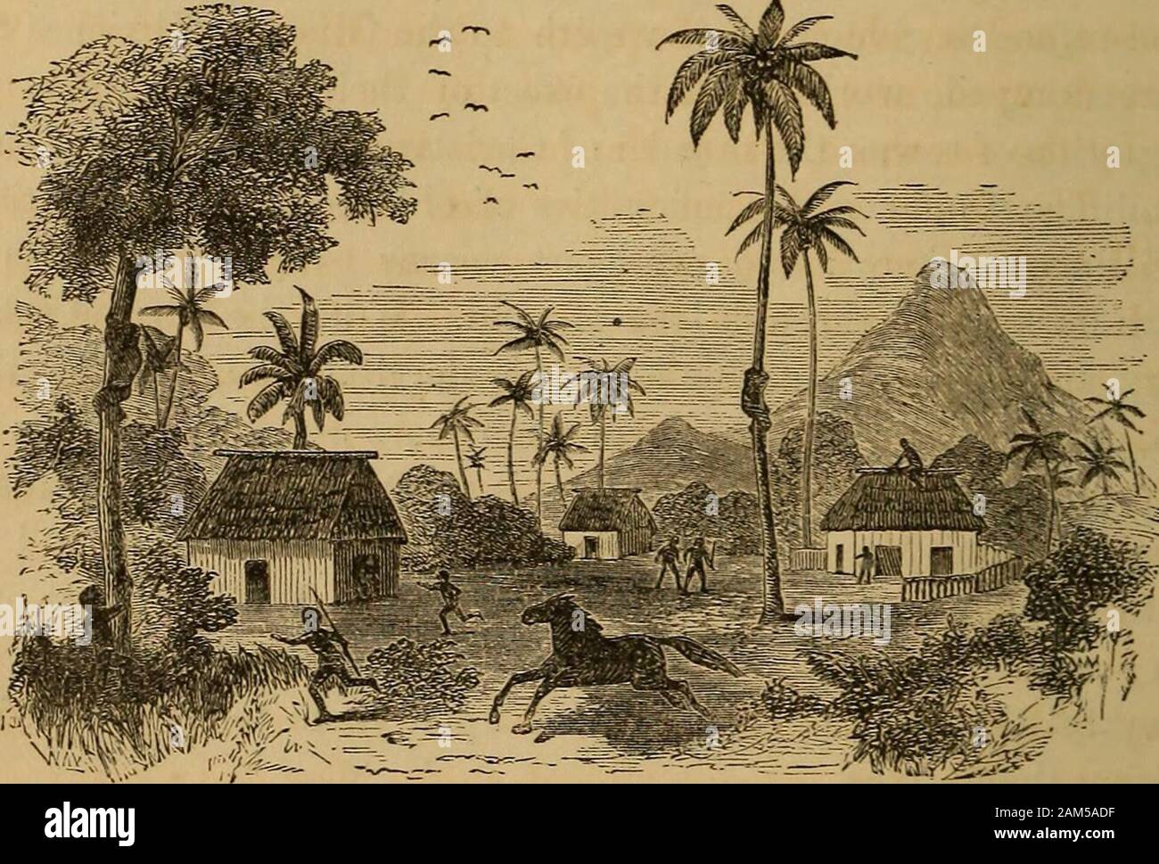 Fiji and the Fijians . gration of towns, the murder of Christians, the violation of chastity,the wailings of infancy, the infirmities of old age not only unpitied, butturned into mockery; and my heart yearns over those whose suffer-ings are unremoved through love of gold. If all the stirring scenes ofCalvary, and the unchangeable love of a merciful God, will not stir suchup to duty, could you not alarm their fears by exhibiting the fearfulconsequences of retaining more than is meet, when Christs,cause withsuffering humanity requires it % But you will be thinking, if I do notcease this strain, Stock Photo